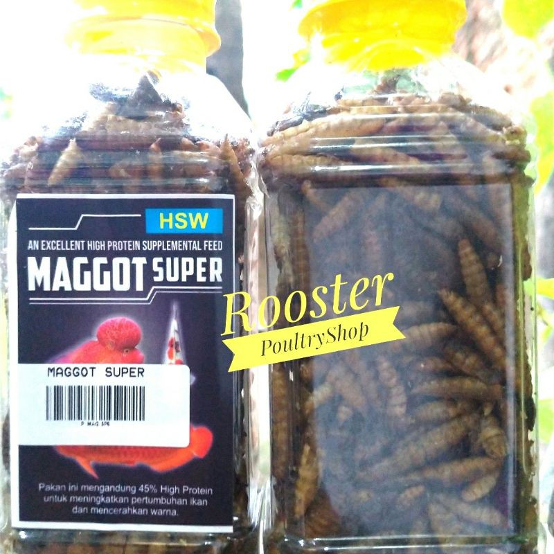 MAGGOT SUPER HSW Pakan ikan Besar Pakan ikan Arwana Louhan Pelet