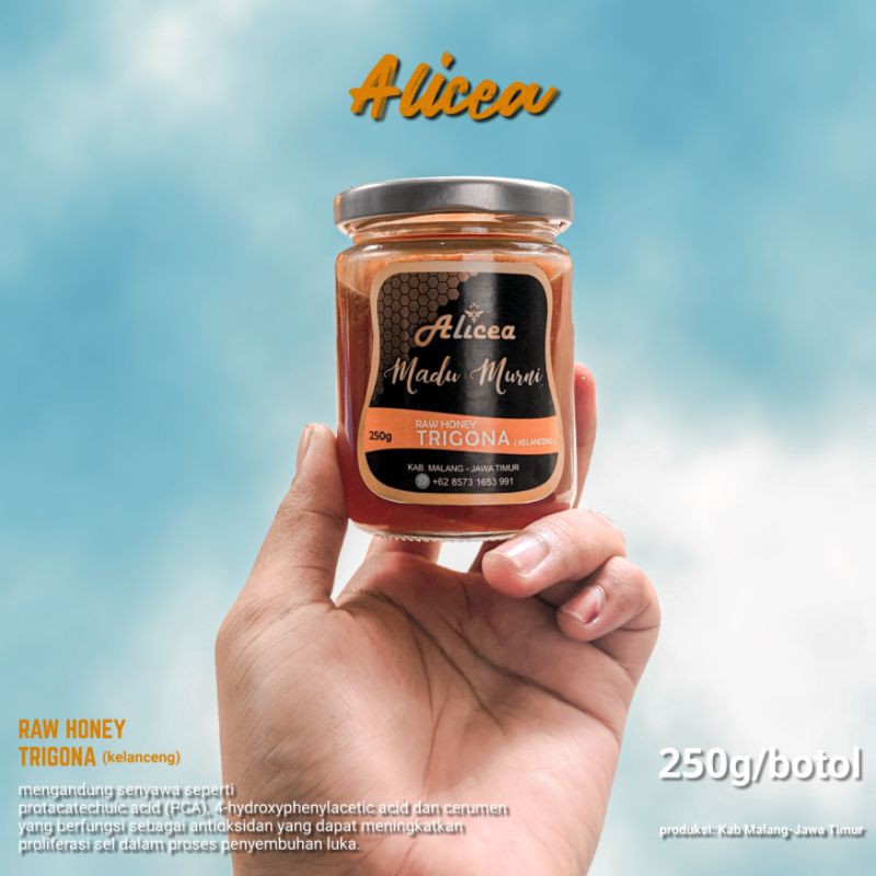 

MADU TRIGONA / KELANCENG | ALICEA RAW HONEY 250g