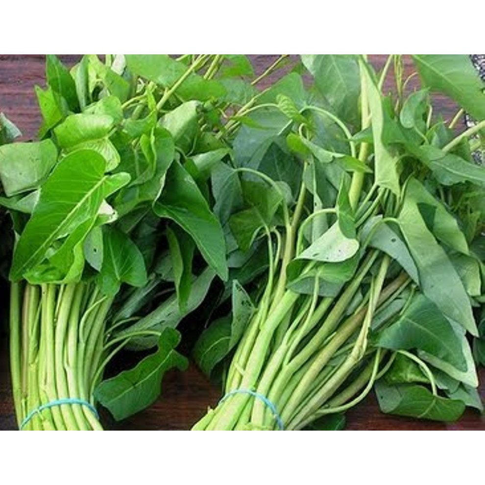 

Kangkung (Ikat Besar)