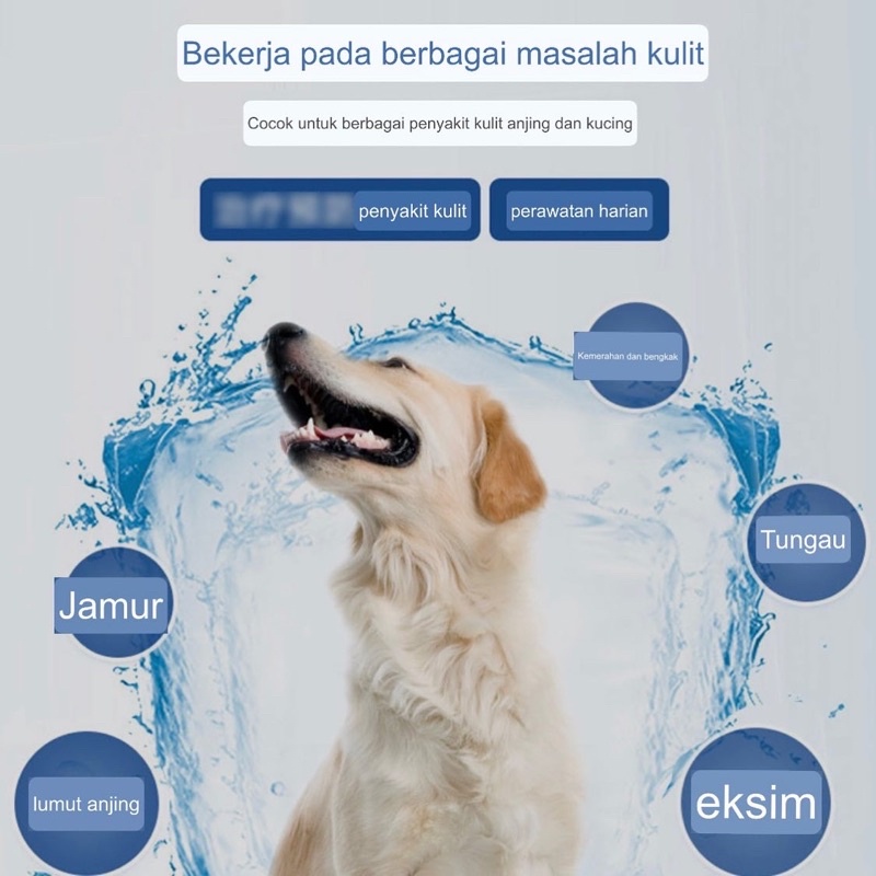 Annsipet skin disease lotion for dog and cat (jamur, kutu, bakteri, gatel2, merah)