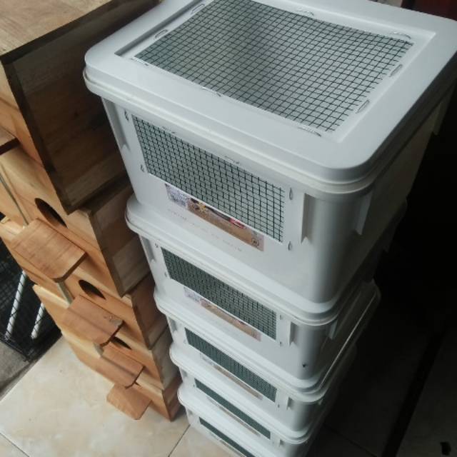 Box wadah anakan burung loloh lovebird