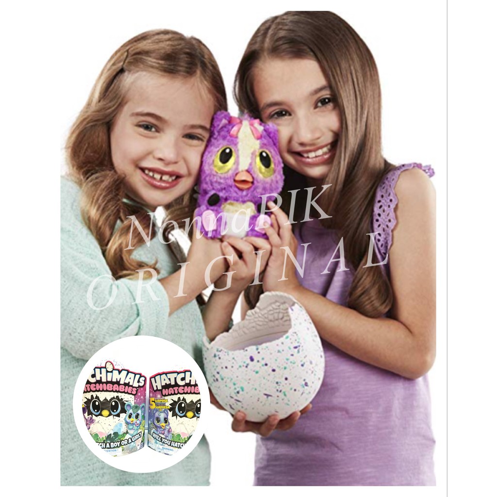 spin master hatchimals hatchibabies ponette