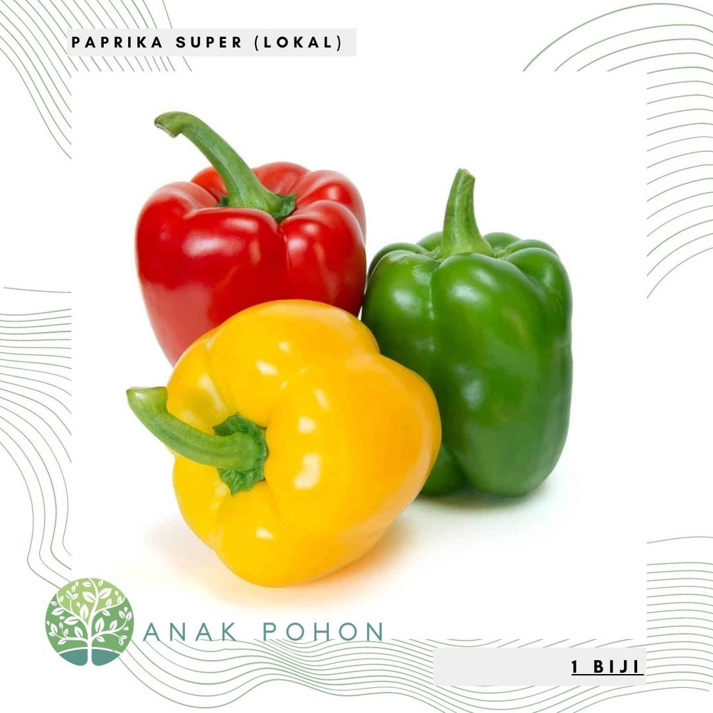 Benih Bibit Biji - Paprika Super ( Lokal ) Seeds