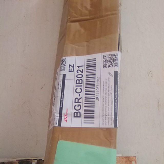 Diskon Bibit Tanaman Buah Kiwi 1paket (2 Pohon)