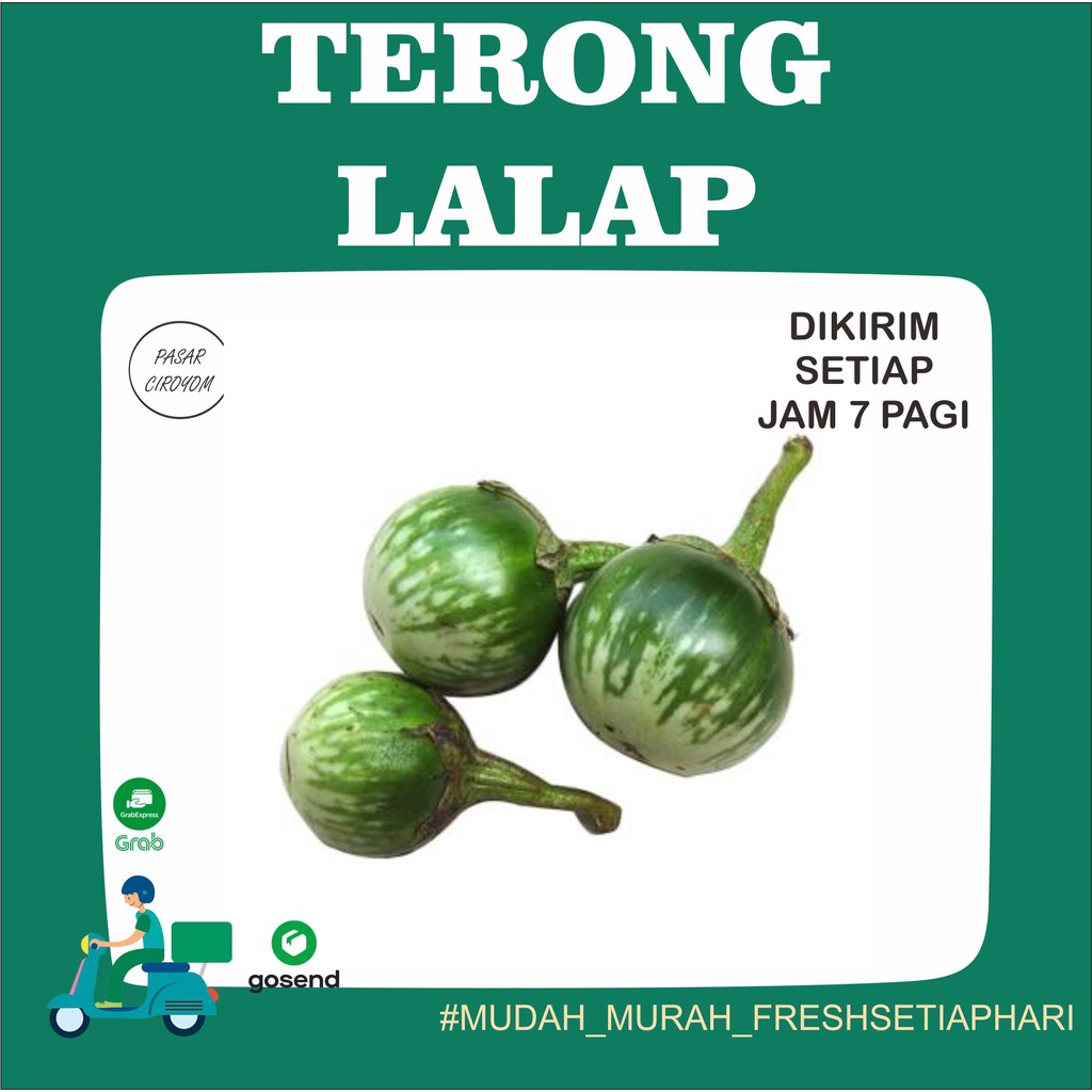 

TERONG LALAP BULAT FRESH BANDUNG 250g