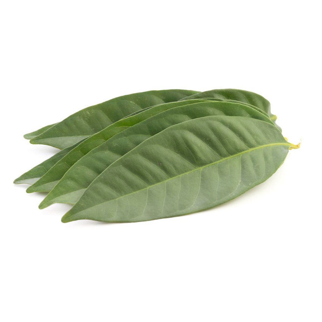 

DAUN SALAM