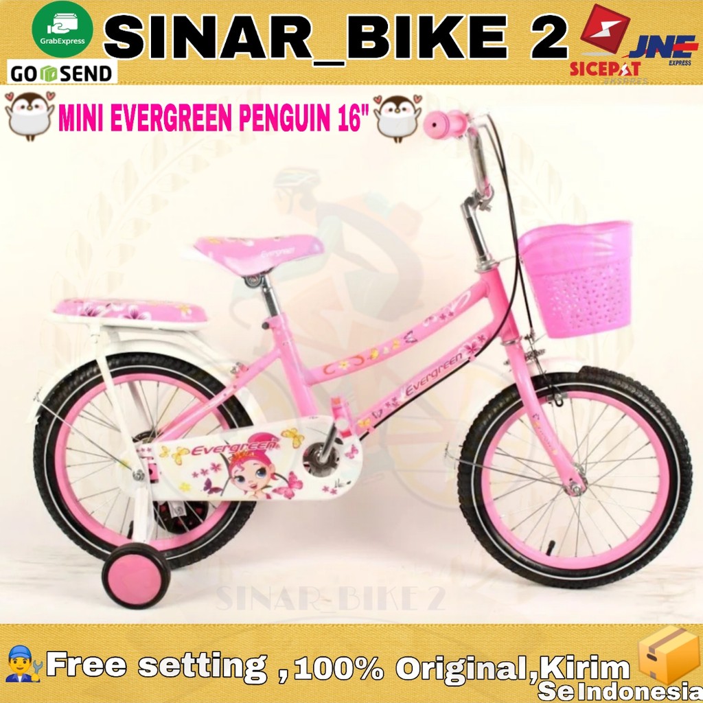 Sepeda Anak Perempuan Mini EVERGREEN Penguin 16Inch Usia 4-6Th (Gosend/Grab)