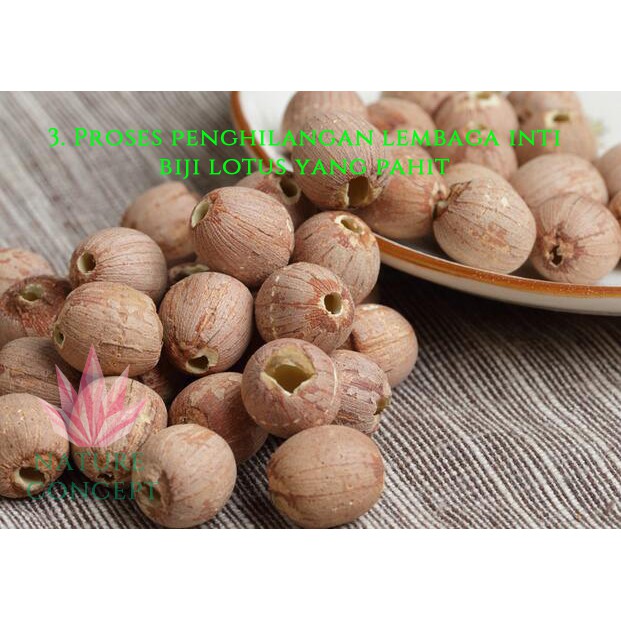 Biji Teratai Lotus Seed Fresh Makanan Diet Sehat Alami Organik Lian zi Grade AAAAA Terbaik