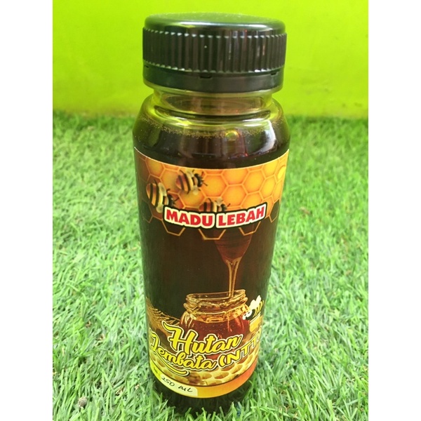 

MADU LEBAH HUTAN LEMBATA (NTT) 250ml