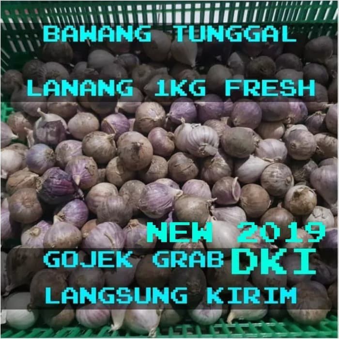 

TERMURAH - Bawang Putih Tunggal / Bawang Lanang 1000 gram