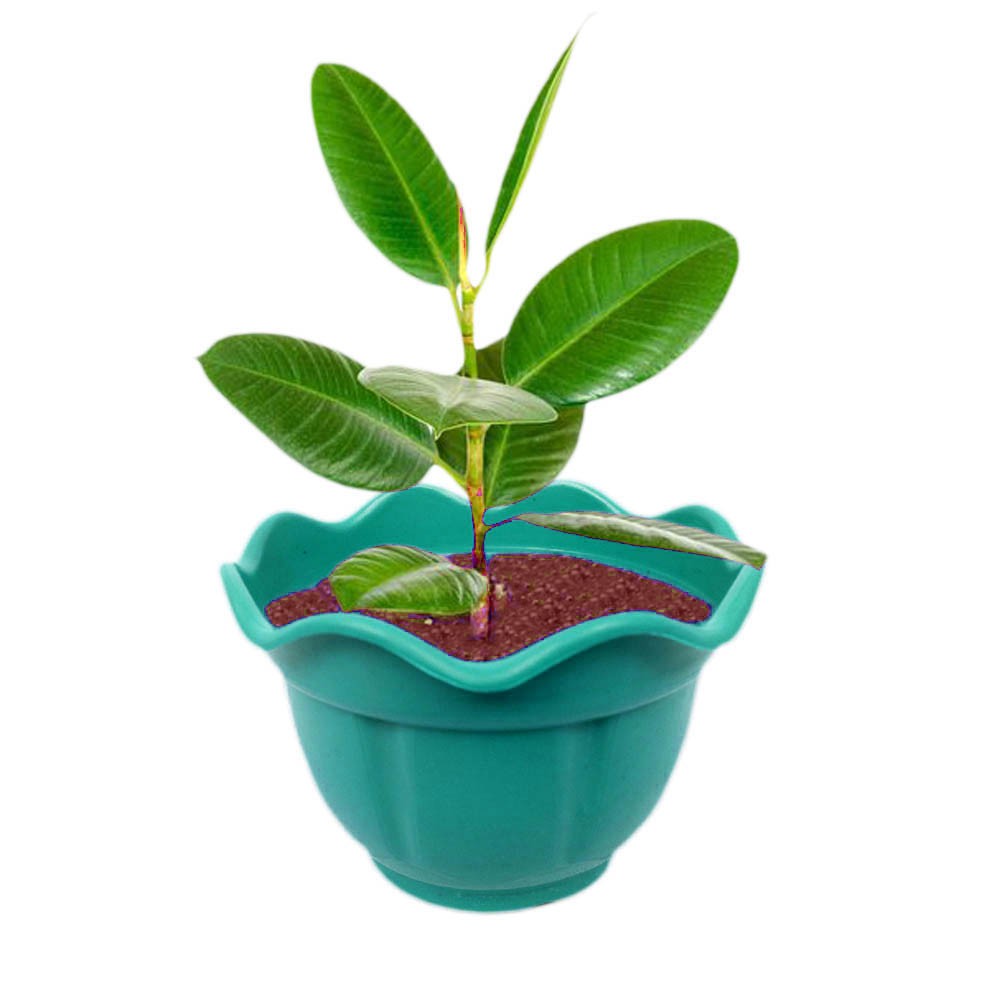 Pot Bunga Tanaman Hias Bata  Random Color Isi 12 pcs