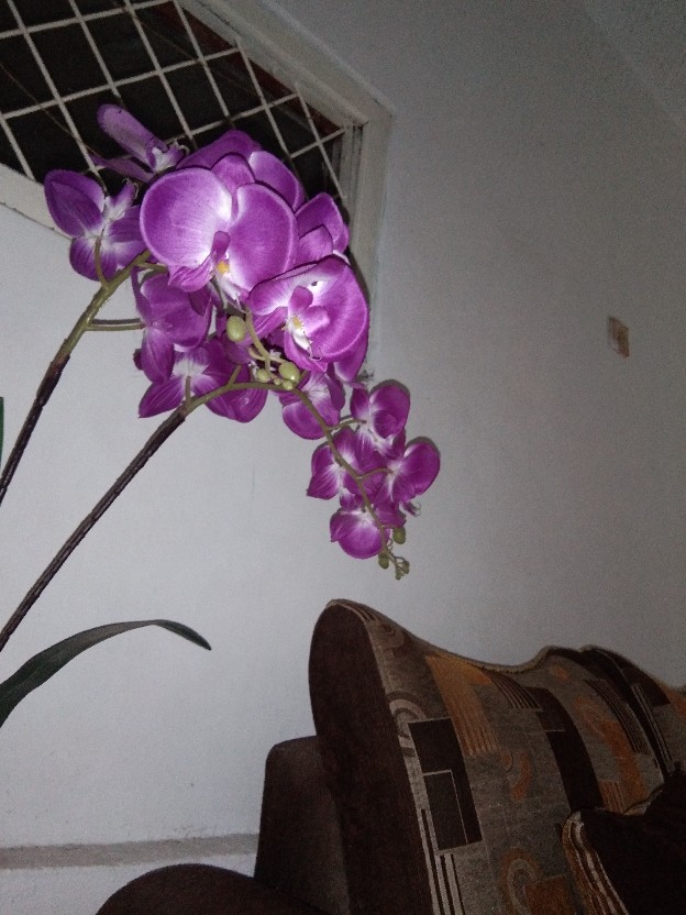 Nagada Spon Mandi / Bath Sponge / Spons Mandi Mekar 15 Gr / Shower Puff - 2w