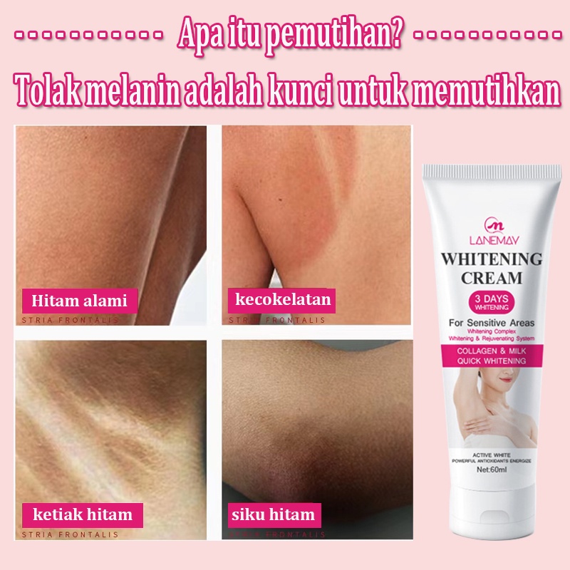 Whitening cream Krim pemutih Whitening body lotion Krim pemutih ketiak krim pemutih bagian pribadi 60g Pemutih seluruh tubuh lutut  siku alur pantat bagian privat lotion pemutih