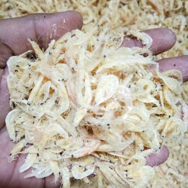 

Rebon Kasar/Jeruk 1kg