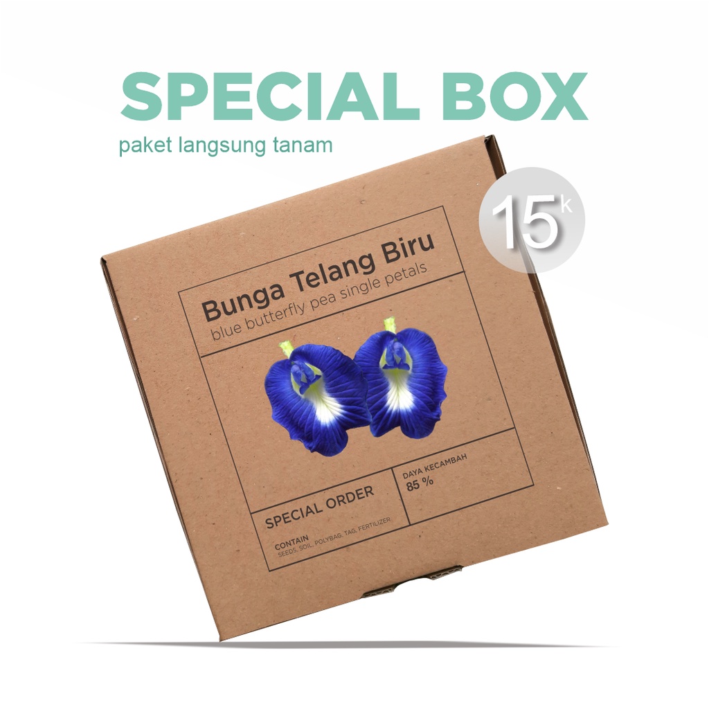 Paket Langsung Tanam - Gardening Kit - SPECIAL BOX - Benih Bunga Telang Biru Single Blue Butterfly Pea Single Petals Seeds