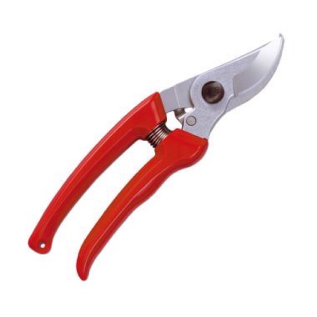 Gunting Dahan Gunting Stek Dahan Gunting Ranting Bunga Stainless KUALITAS BAGUS