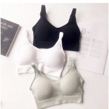 KINDSTORE❤ | [ANA-002] - Pakaian Olahraga Wanita Crop Top Wanita Tops Kebugaran / Push Up Bra