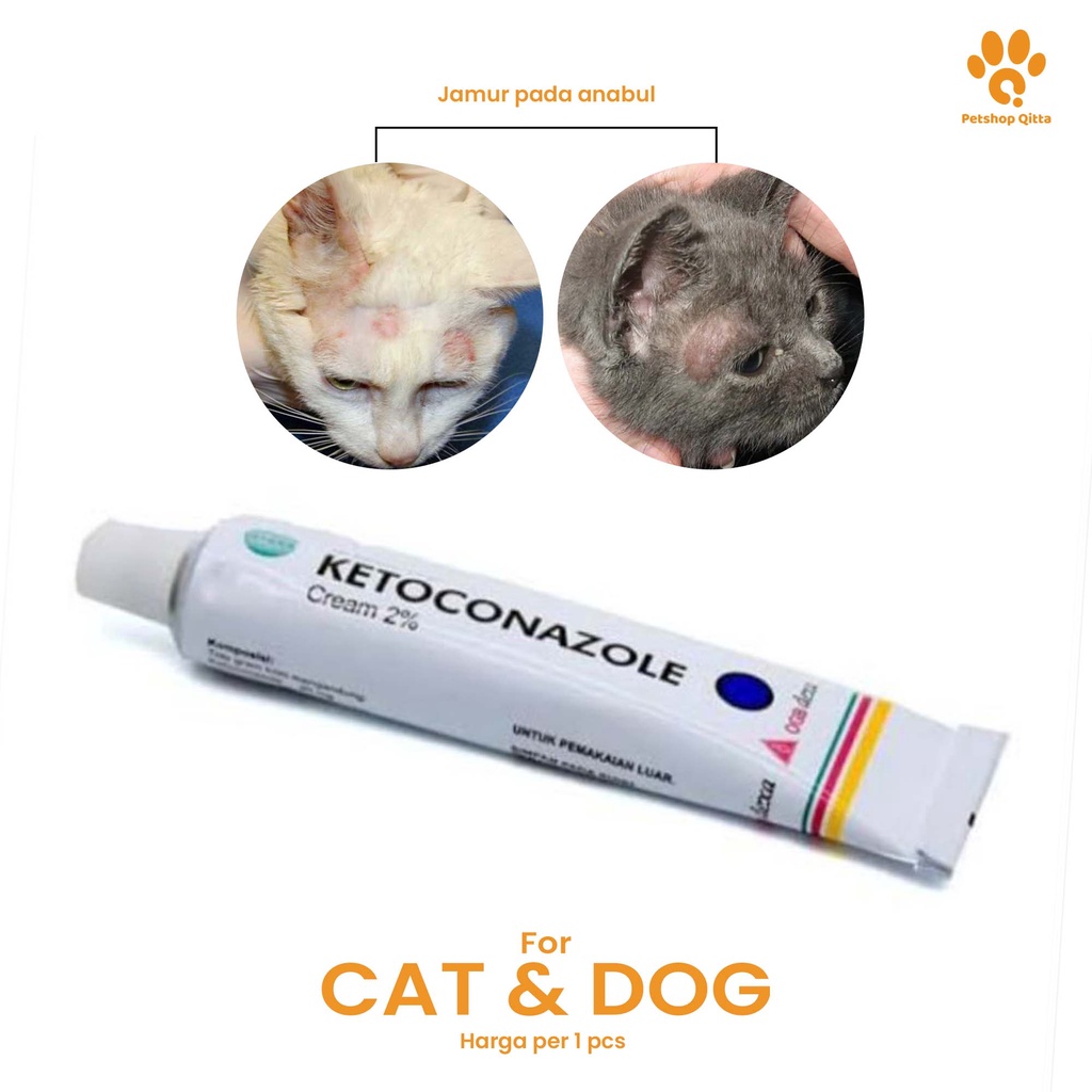 obat salep jamur kucing ampuh/salep luka jamur/salep scabies kucing