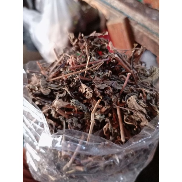 

daun kumis kucing kering siap godok