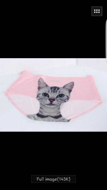 Celana dalam panties panty kitten kucing cat seamless tampa jahitan ok  good quality top