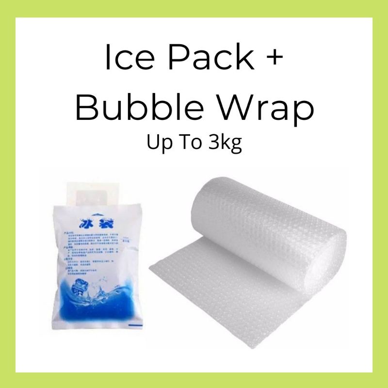 

Bubble wrap + Ice gel tambahan