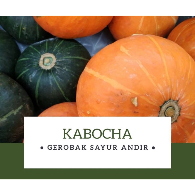 

Kabocha Kuning / butir