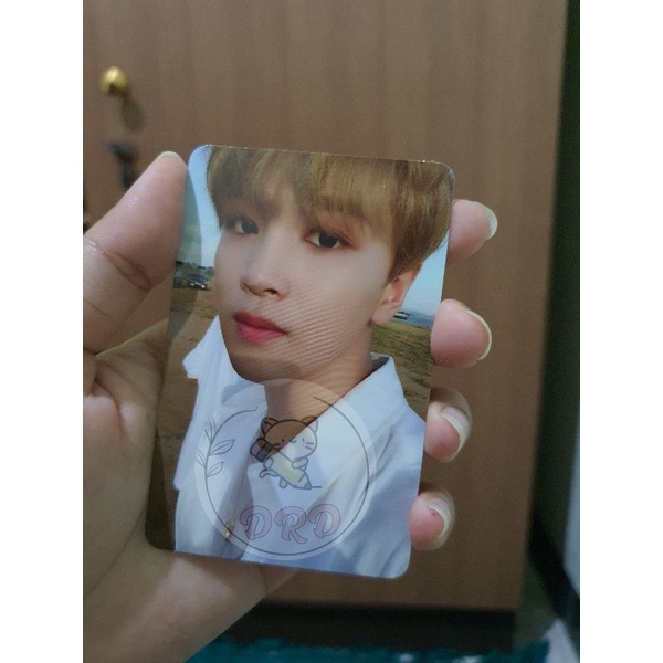 Official Pc Haechan We Go Up