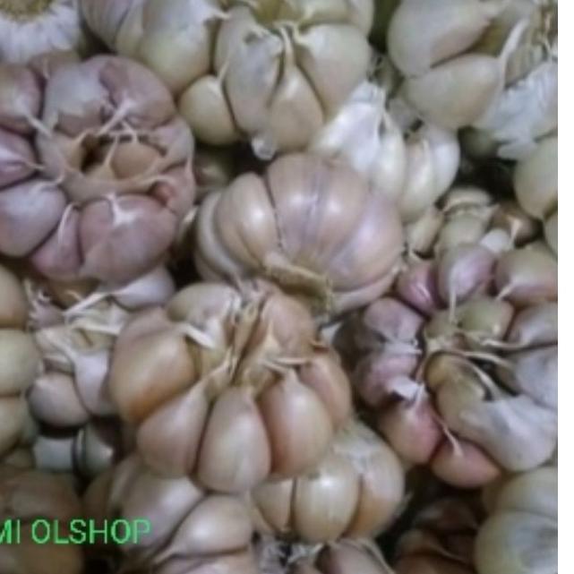 

✮ BAWANG PUTIH SUPER BERSIH FRESH GARLIC 500 gram buruan