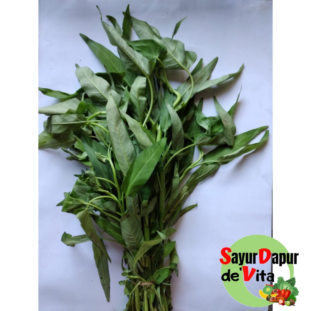 Sayur Kangkung Segar, Bersih,  perikat