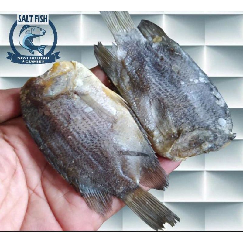 

ikan tembakang kering kemasan 500 gram harga termurah