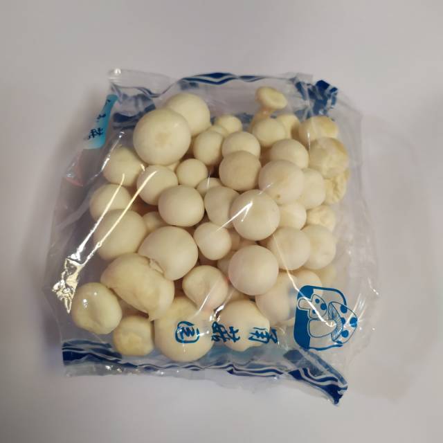 

Jamur Shimeji 1 pack