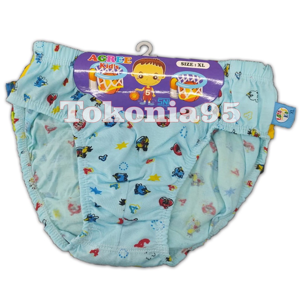 Paket 3 Pcs CD Agree Kids - Celana Dalam Anak Cowok Karakter