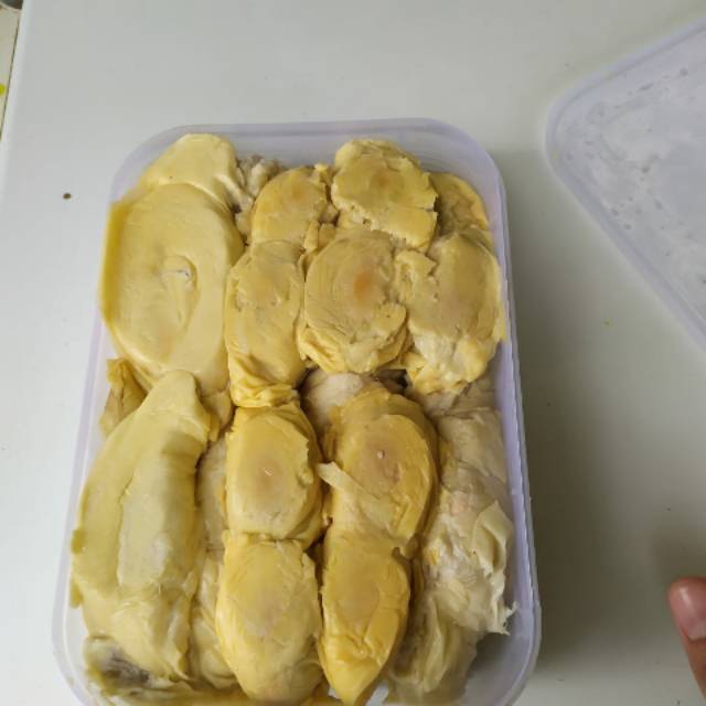 

Durian nias