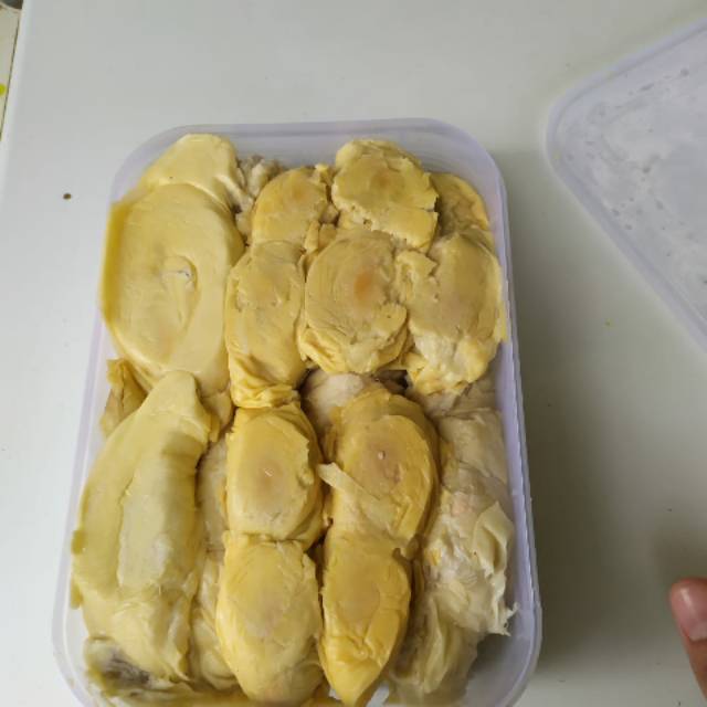 Durian nias