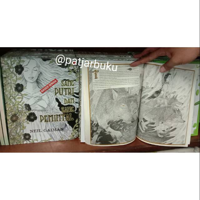 Sang Putri dan Sang Pemintal - Neil Gaiman