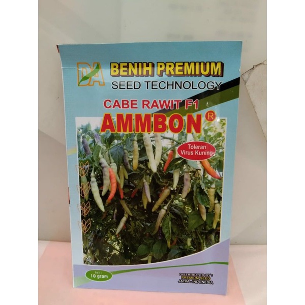 ambon cabai rawit putih
