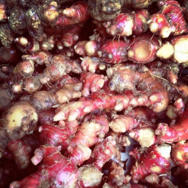 

Jahe merah tangkal corona/covid19 murah 100gram seger fresh baru panen