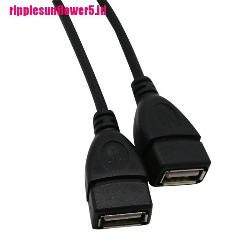 Kabel Adapter Splitter Y USB 2.0 A Male Ke 2 Dual Female Jack Hub