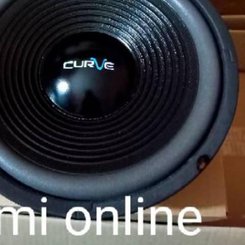 Speaker 10 inch woofer acr curve 300 watt