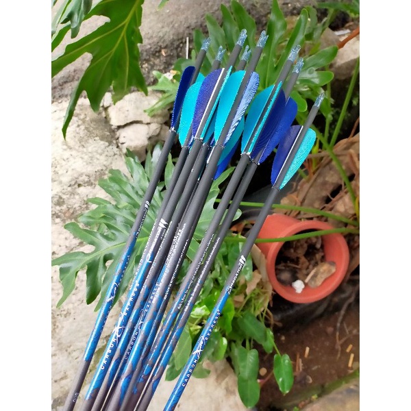 Arrow carbon express