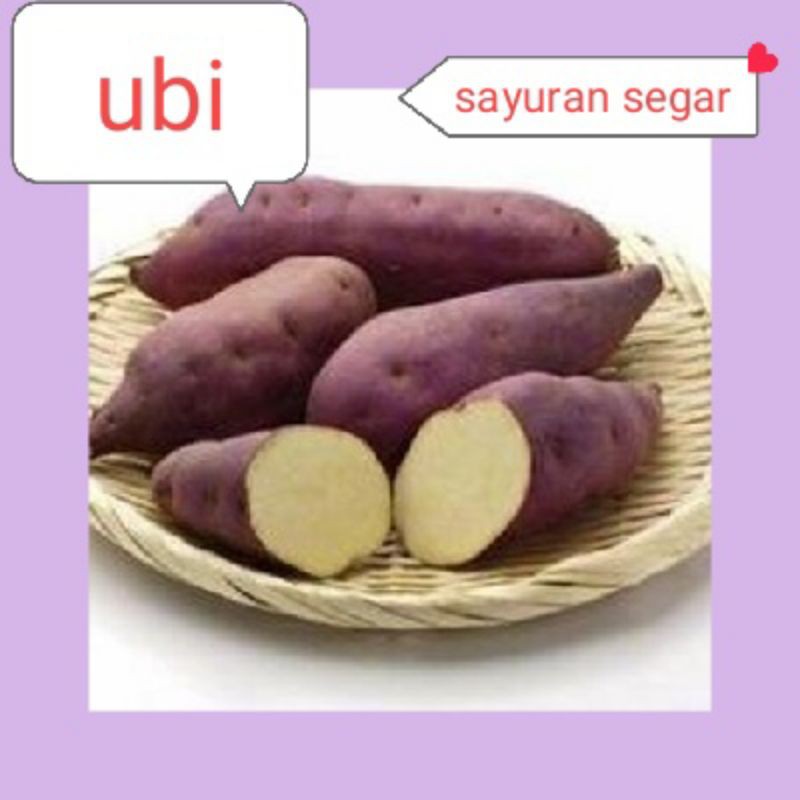 

UBI JALAR/TELO