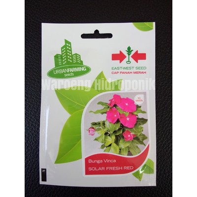 BIBIT / BENIH BUNGA VINCA SOLAR FRESH RED CAP PANAH MERAH