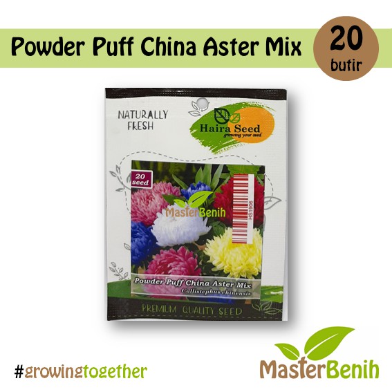 Benih Bunga Aster Powder Puff Mix