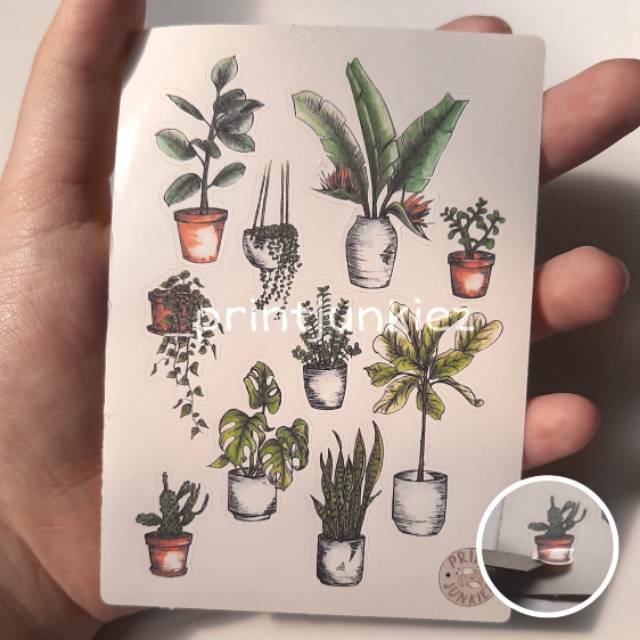 

Aesthetic sticker set (plant) || siap tempel || printjunkiez