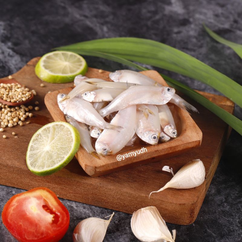 

Wader laut 1kg cocok digoreng Crispy