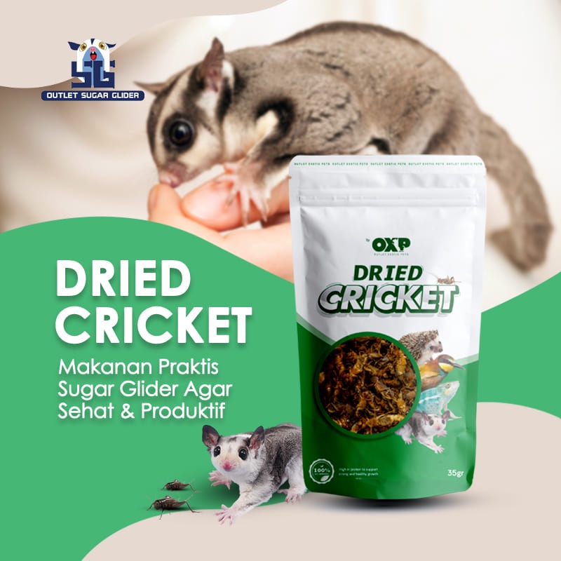 Jangkrik Kering untuk pangan Sugar Glider / Burung