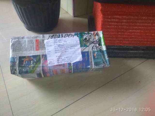 Bibit Bunga Kamboja Jepang