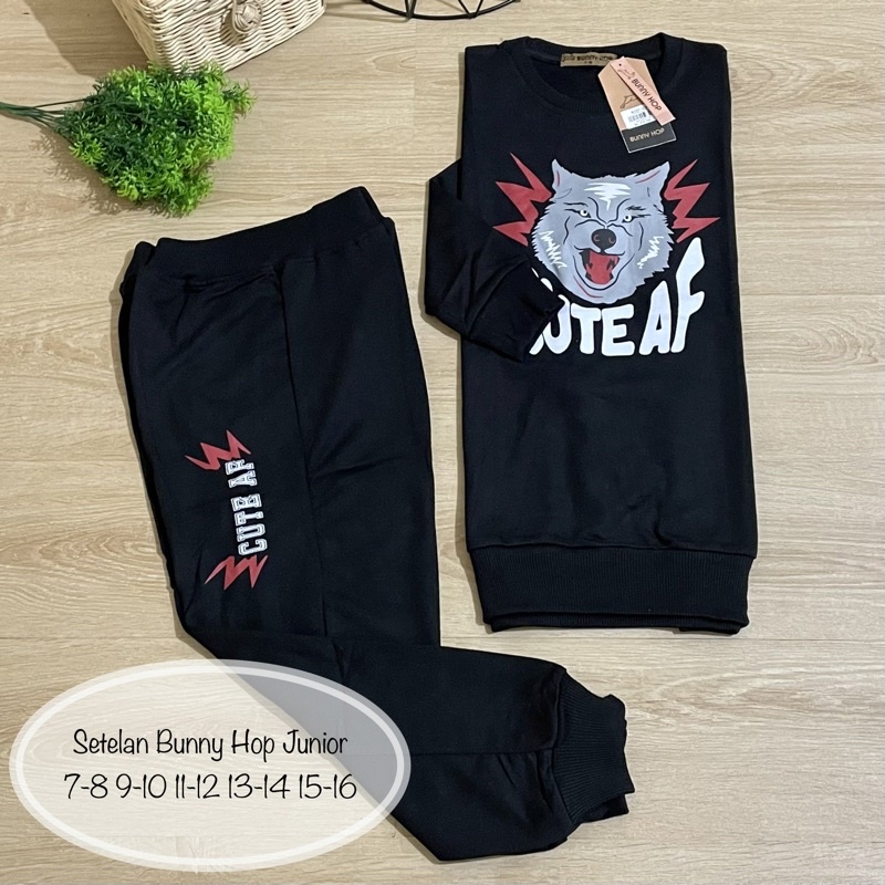 Oneset Anak Bunny hop Setelan Anak Perempuan One Set Anak Setelan Sweater Joger Anak Cewek