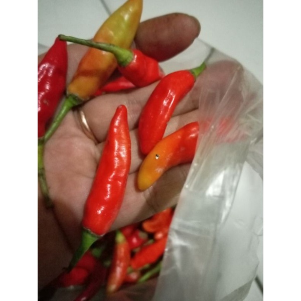 

rawit