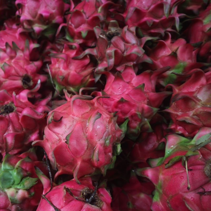 

Buah Naga Merah 1KG Fresh